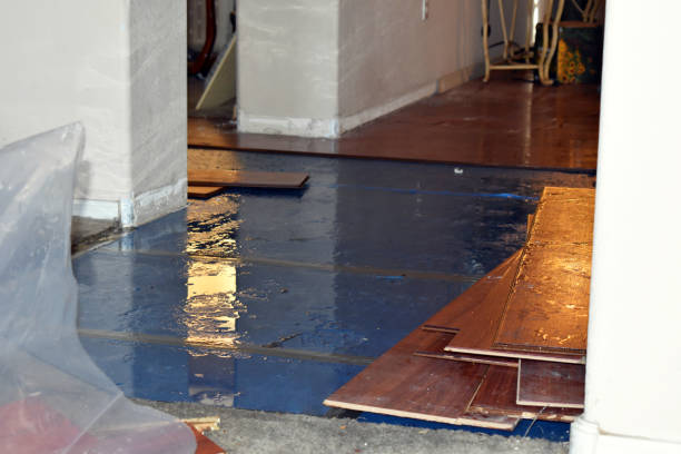 Professional Basement Water Removal technician working in Millbury, MA
